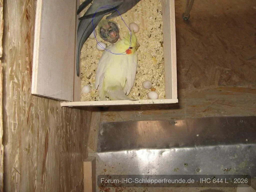Marco