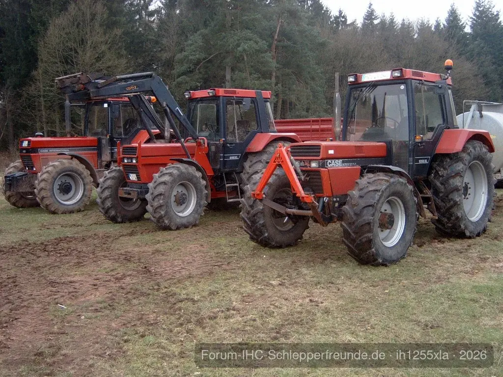 Martin p