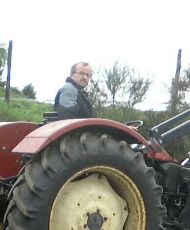 Martin p