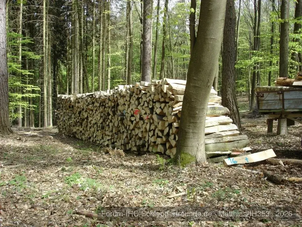 Matthias-IH353