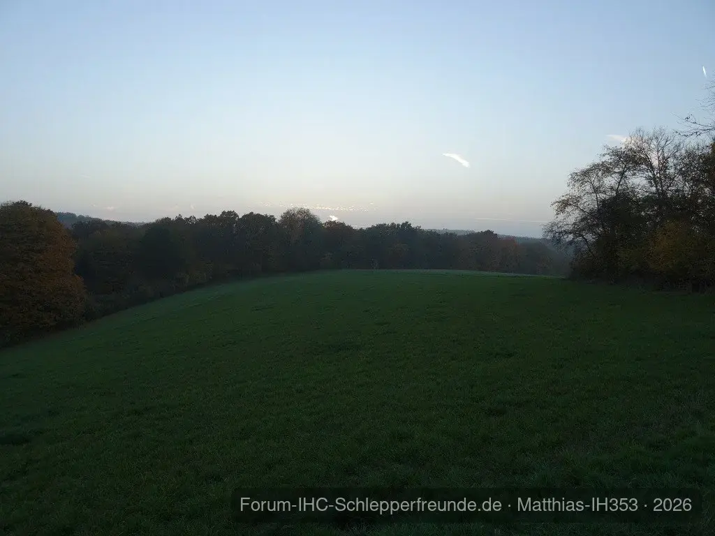 Matthias-IH353