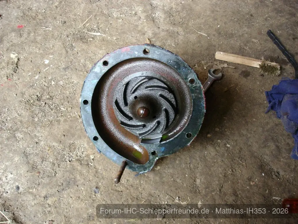 Matthias-IH353