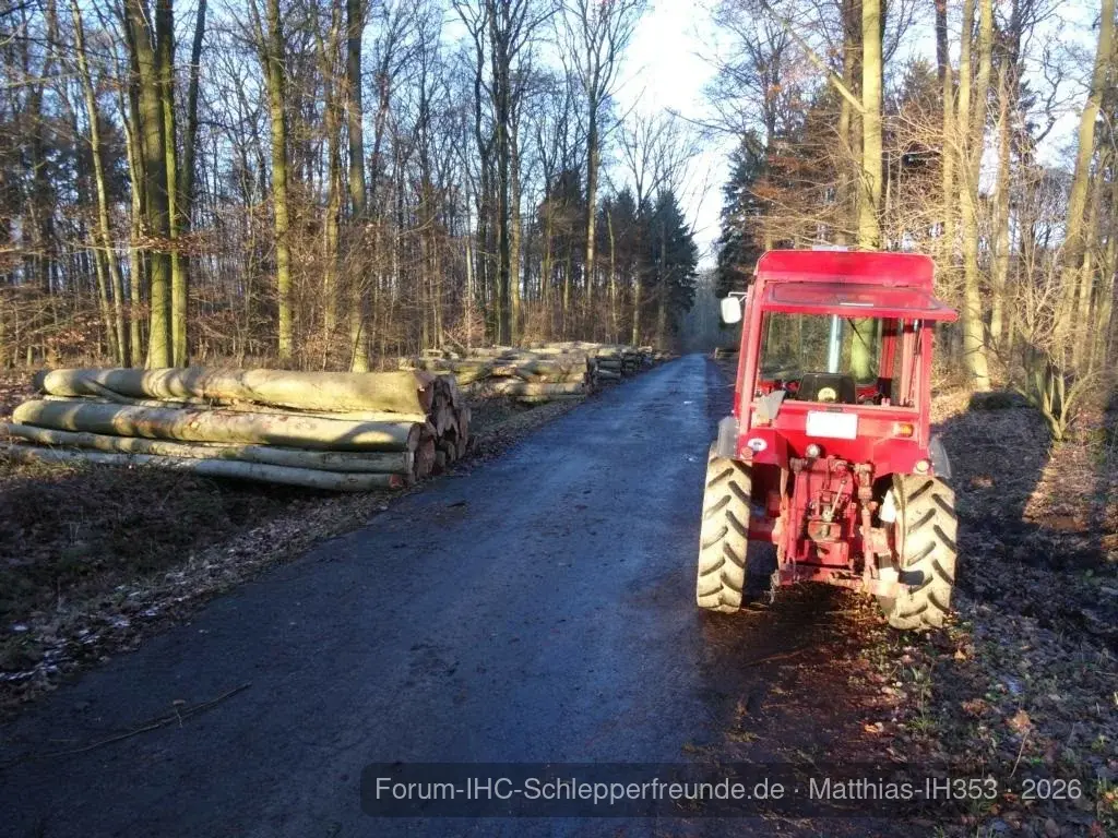 Matthias-IH353