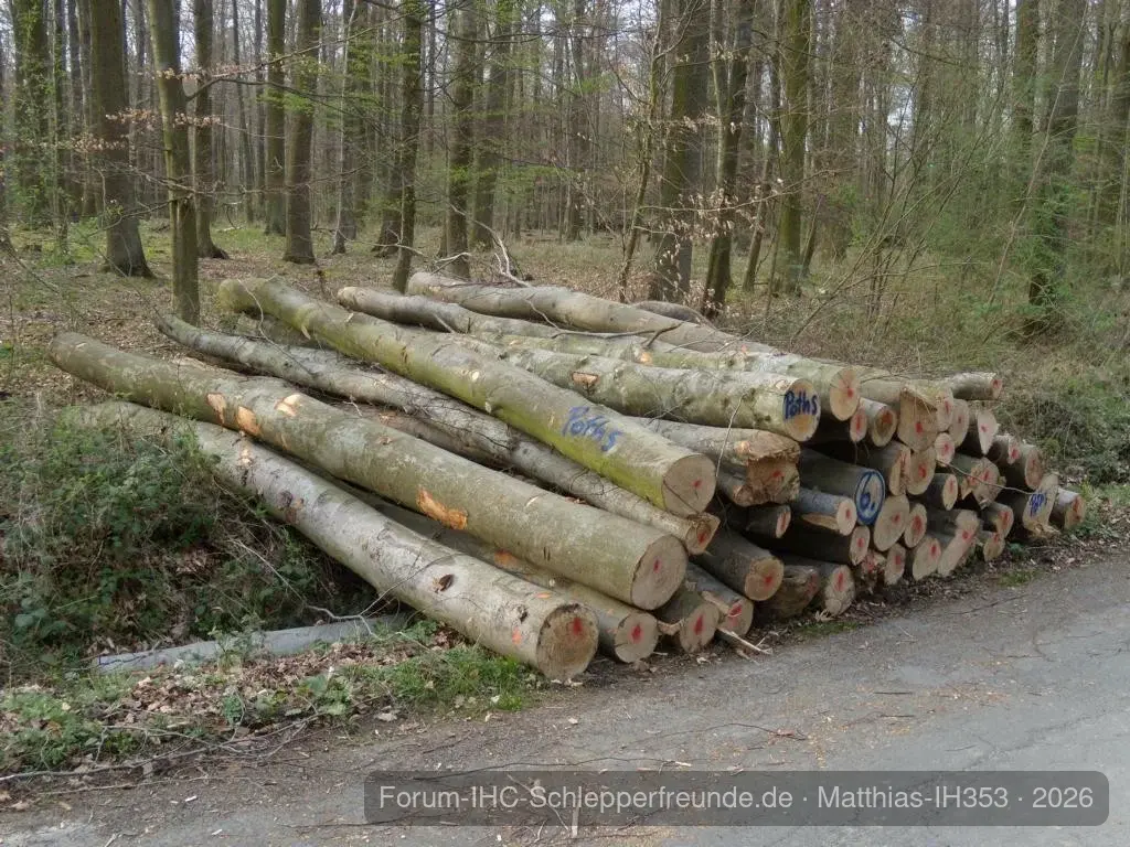 Matthias-IH353