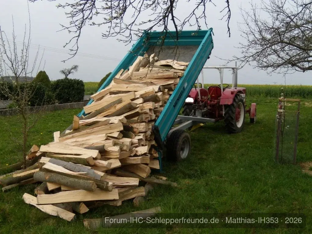 Matthias-IH353