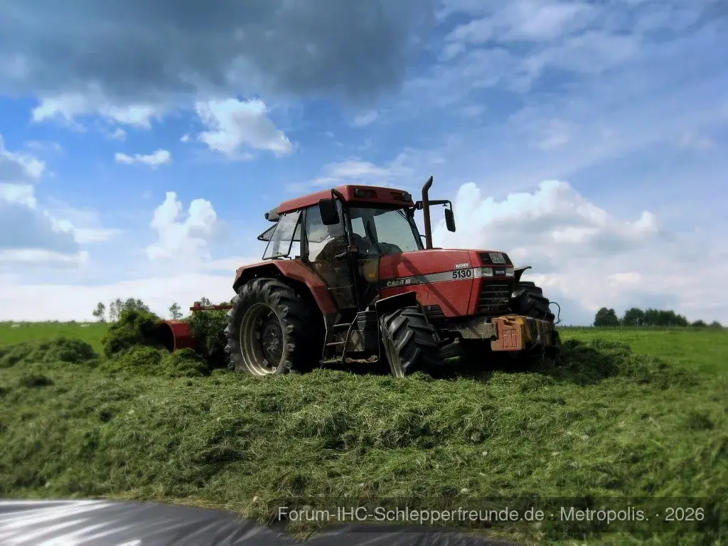 maxxum 5130 beim Siloverteilen
