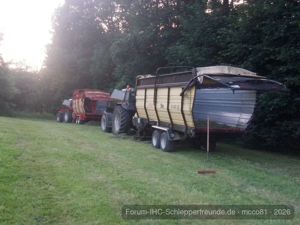 Maxxum ‘s