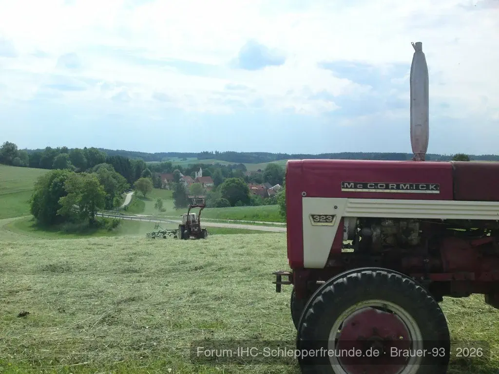 Mit Blick aufs Dorf