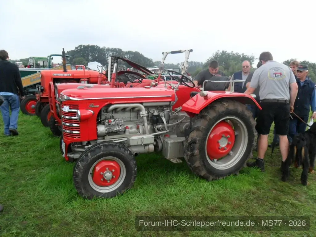 Nordhorn 11