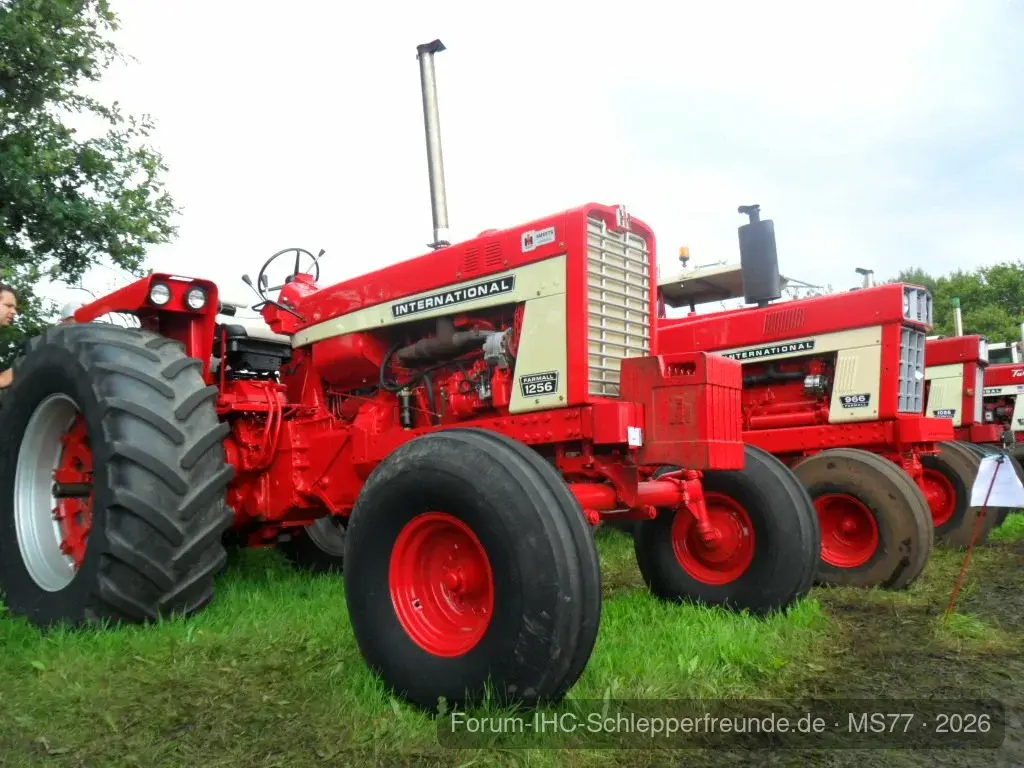Nordhorn 11