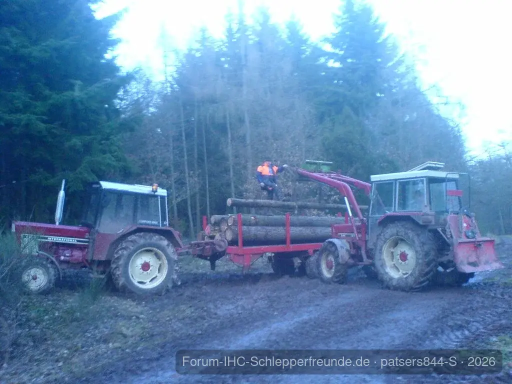 Patser am Holzfahren