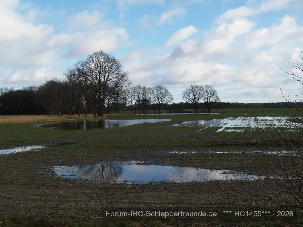 pfluglose bestellung....