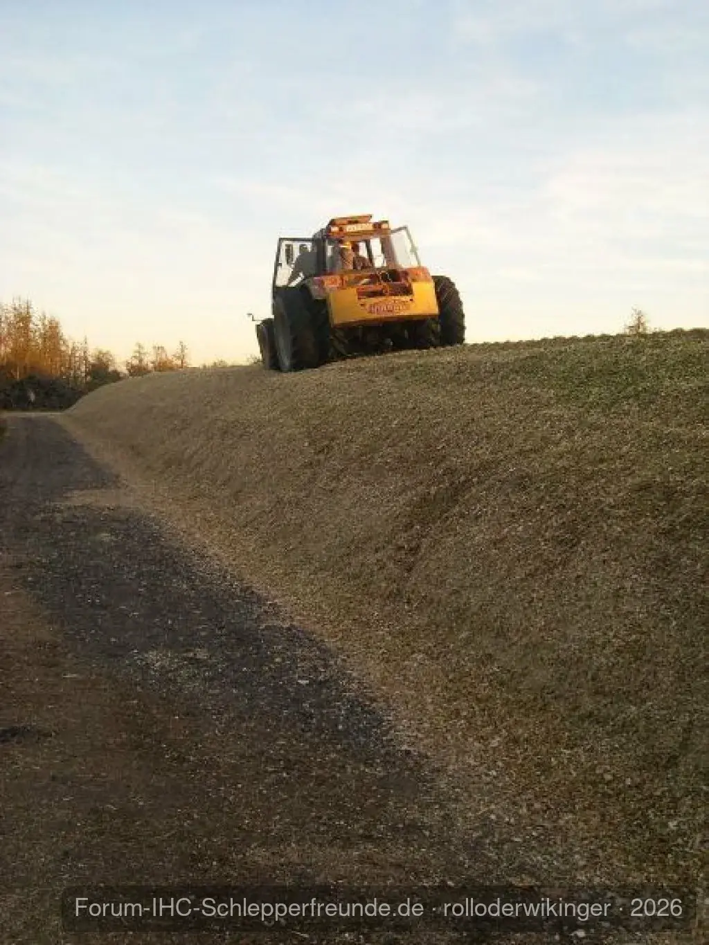 rolloderwikinger