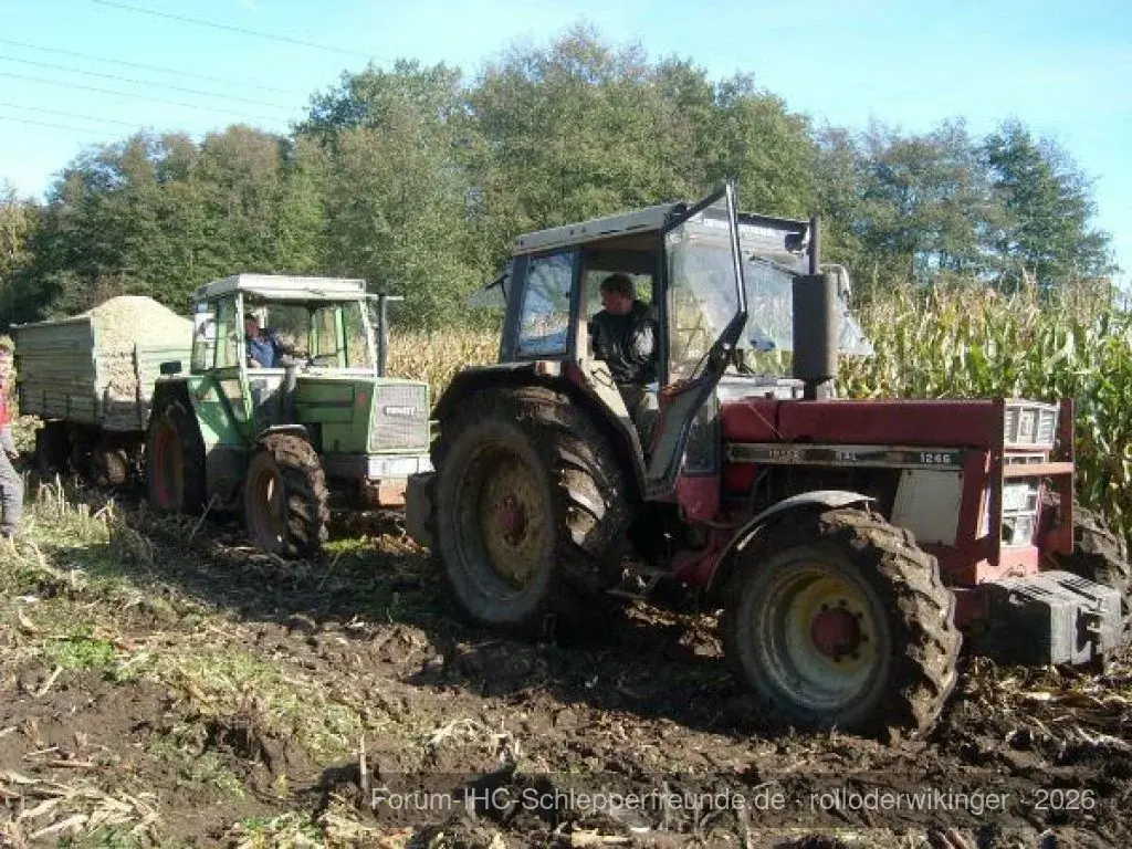 rolloderwikinger