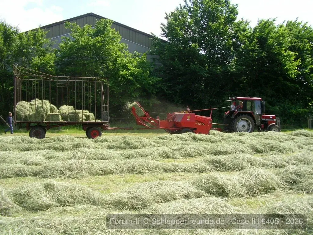 Schönes Gespann