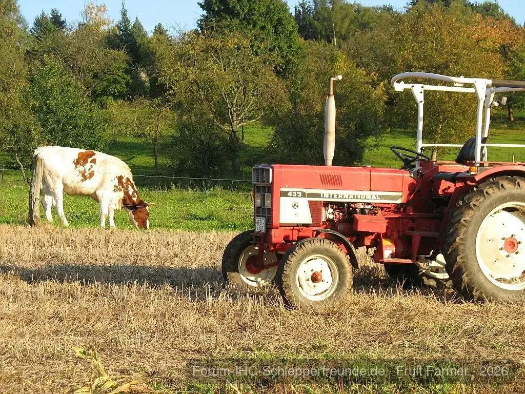 Schönes Wetter nochmal genutzt