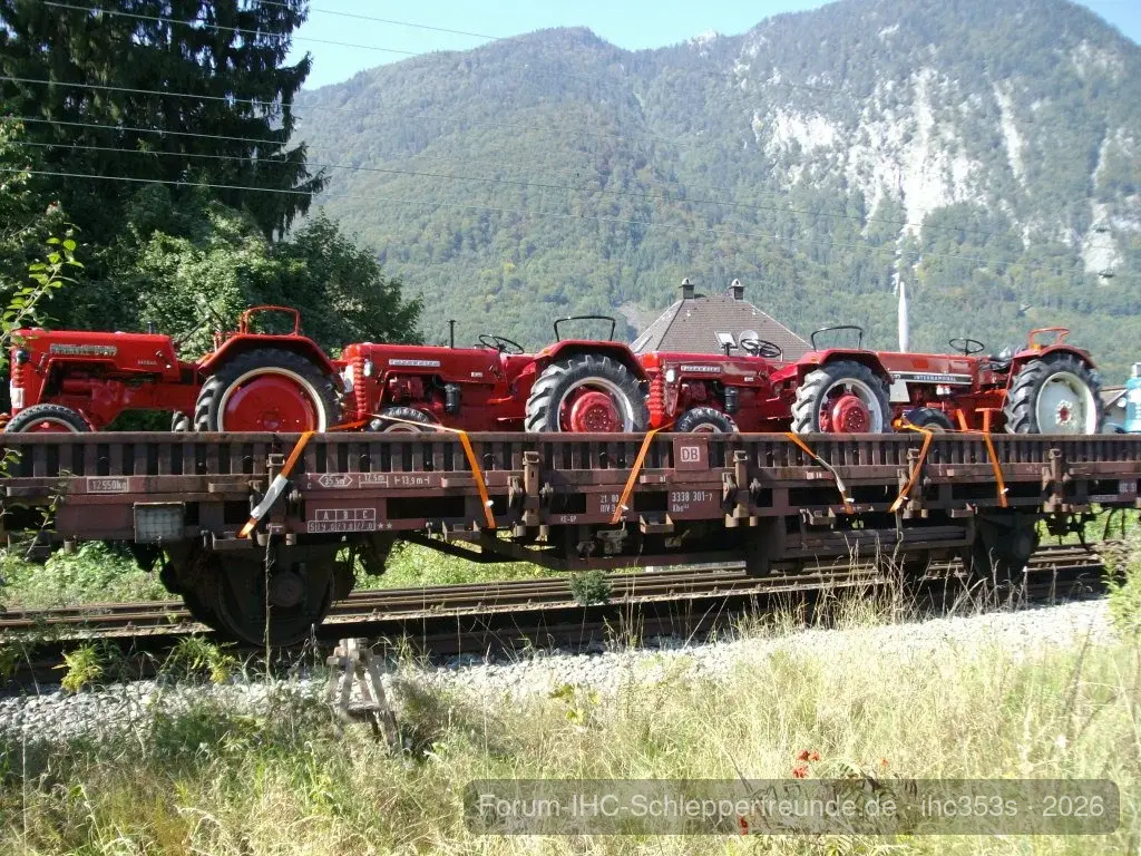 Schorsch