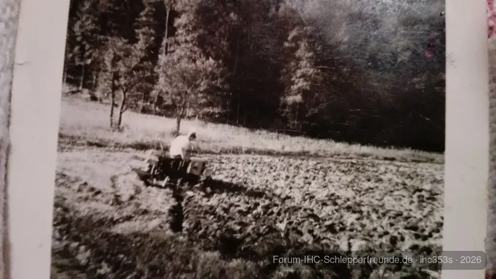 Schorsch
