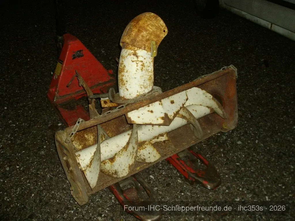 Schorsch