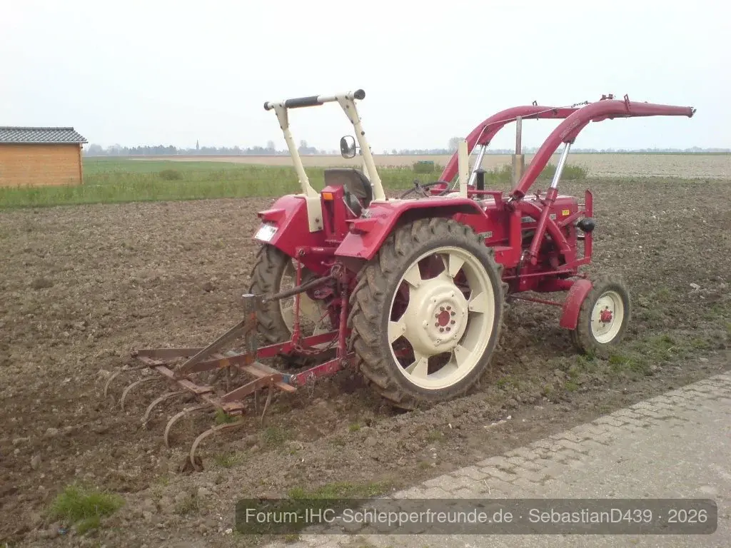 SebastianD439