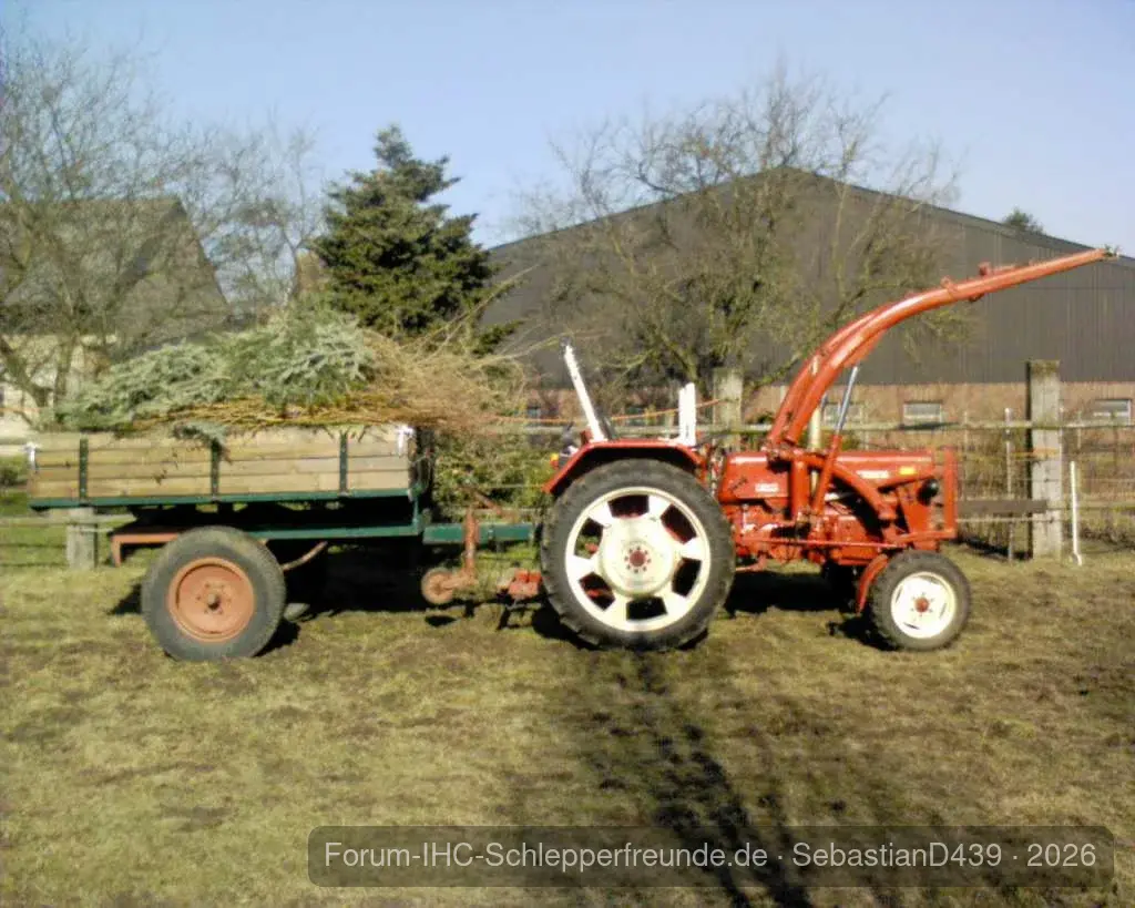 SebastianD439