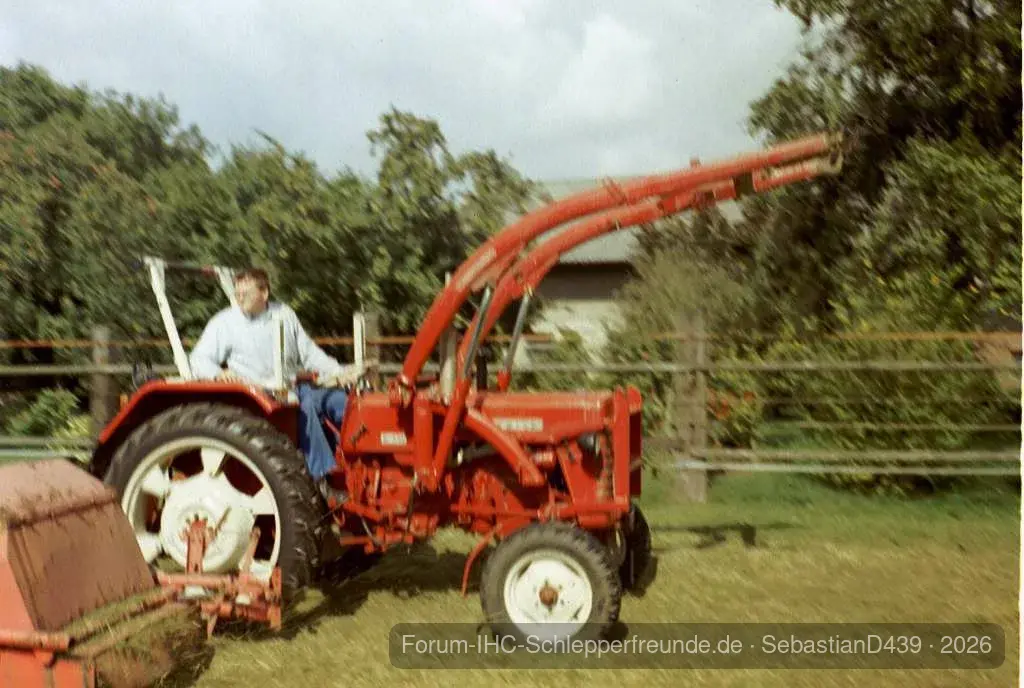 SebastianD439