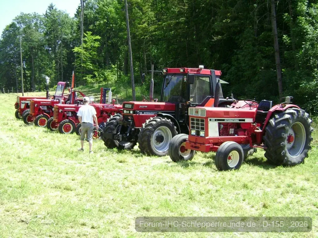 Sommerplausch 2012
