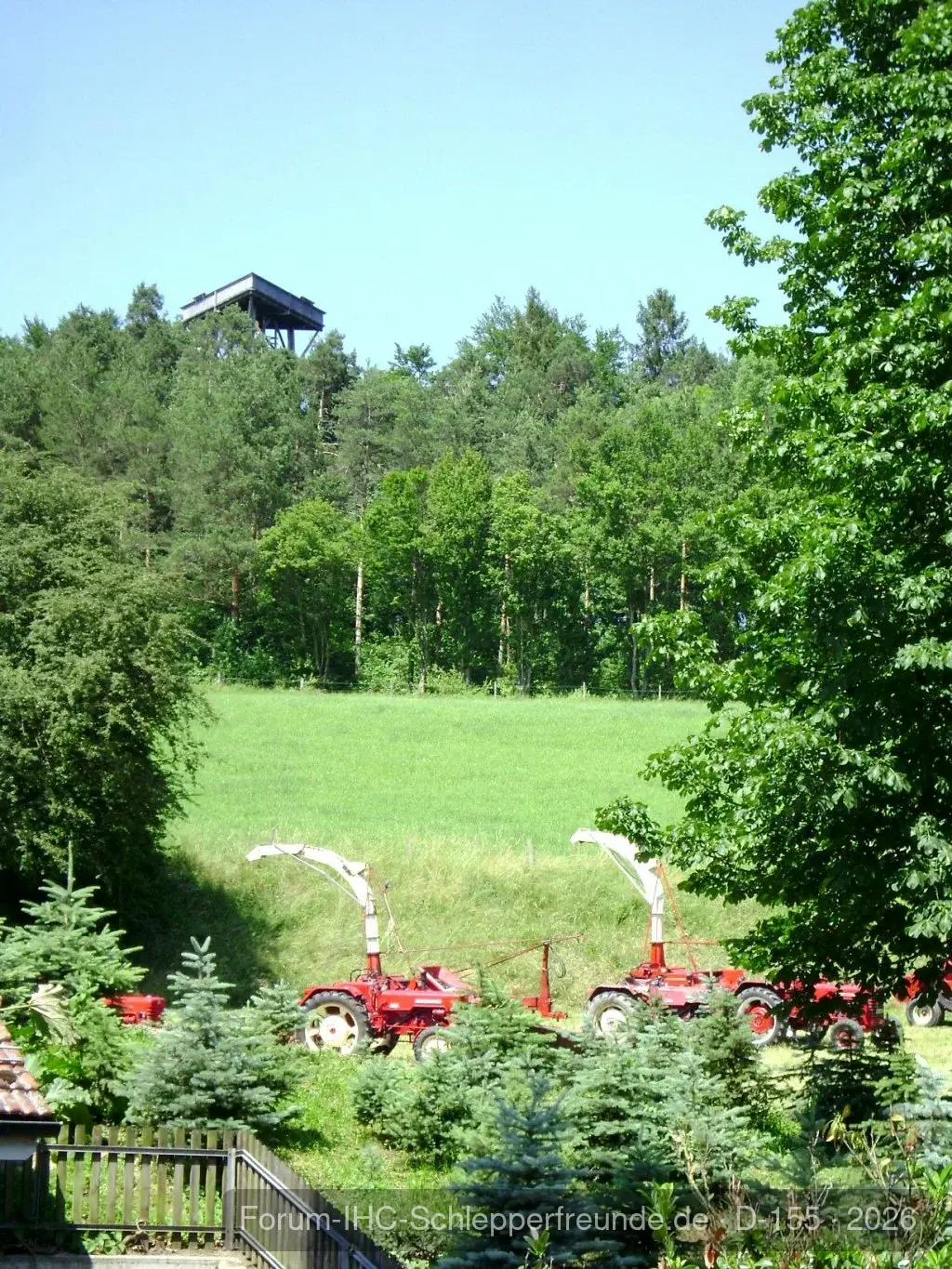 Sommerplausch 2012