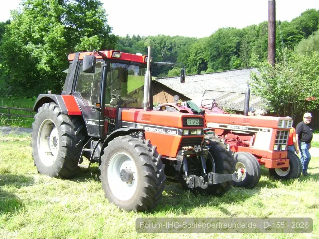 Sommerplausch 2012