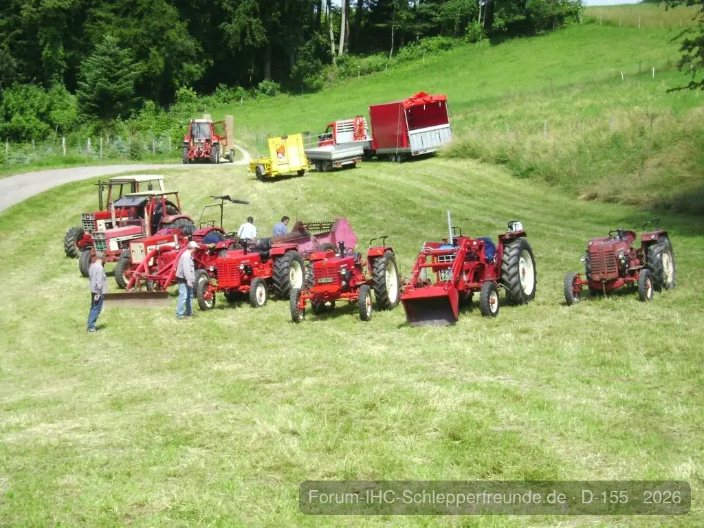 Sommerplausch 2012