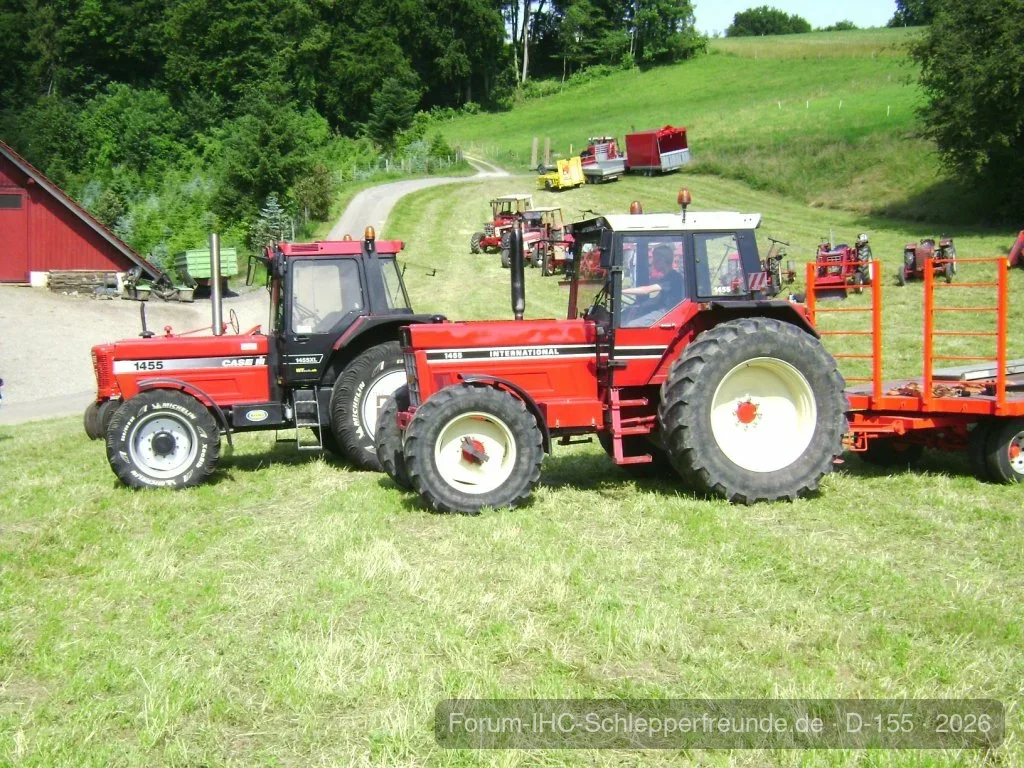 Sommerplausch 2012
