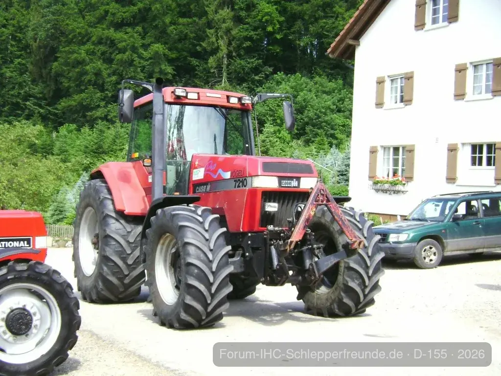 Sommerplausch 2012