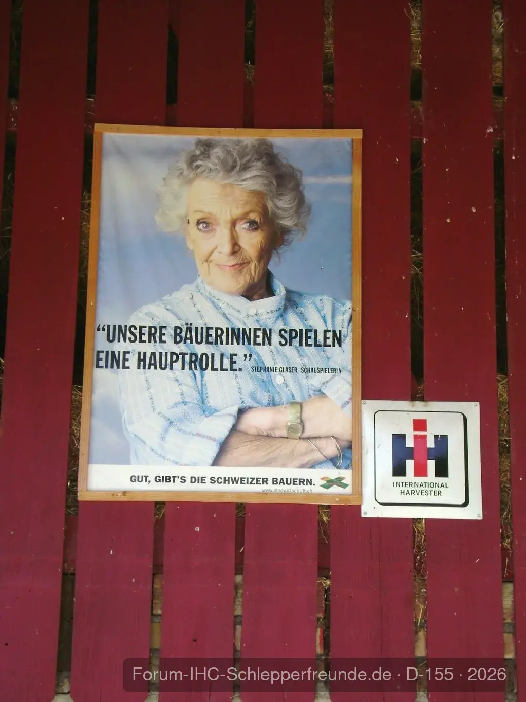 Sommerplausch 2012