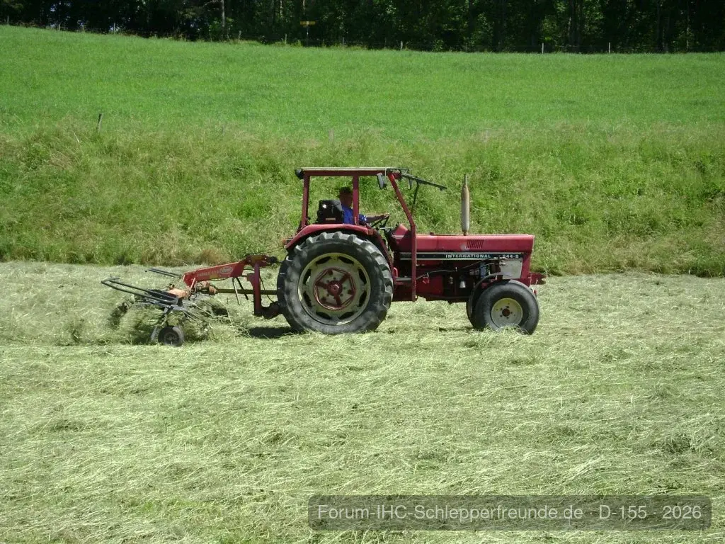 Sommerplausch 2012