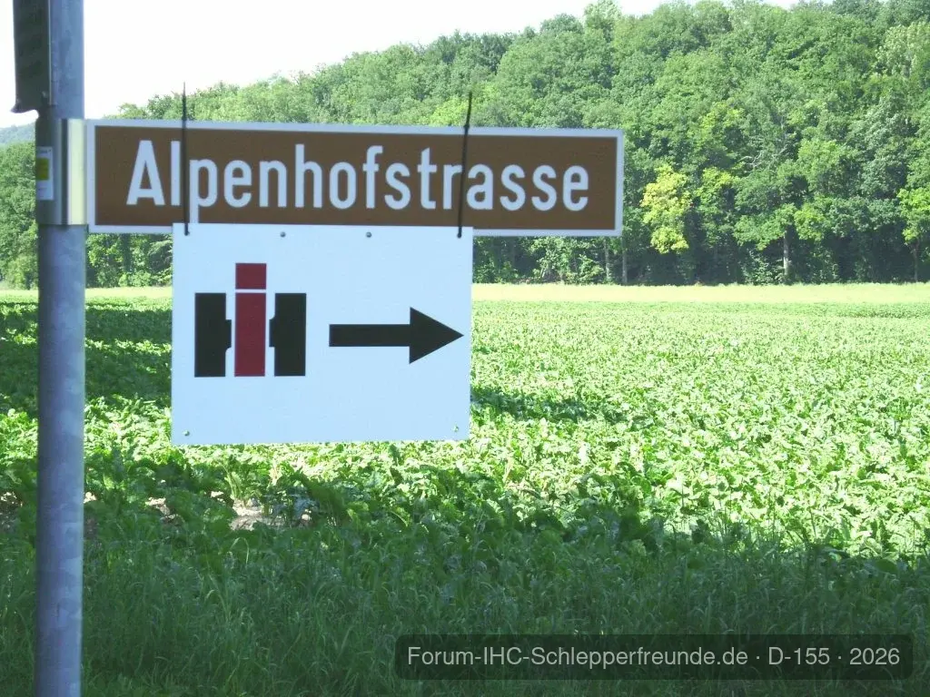 Sommerplausch 2012