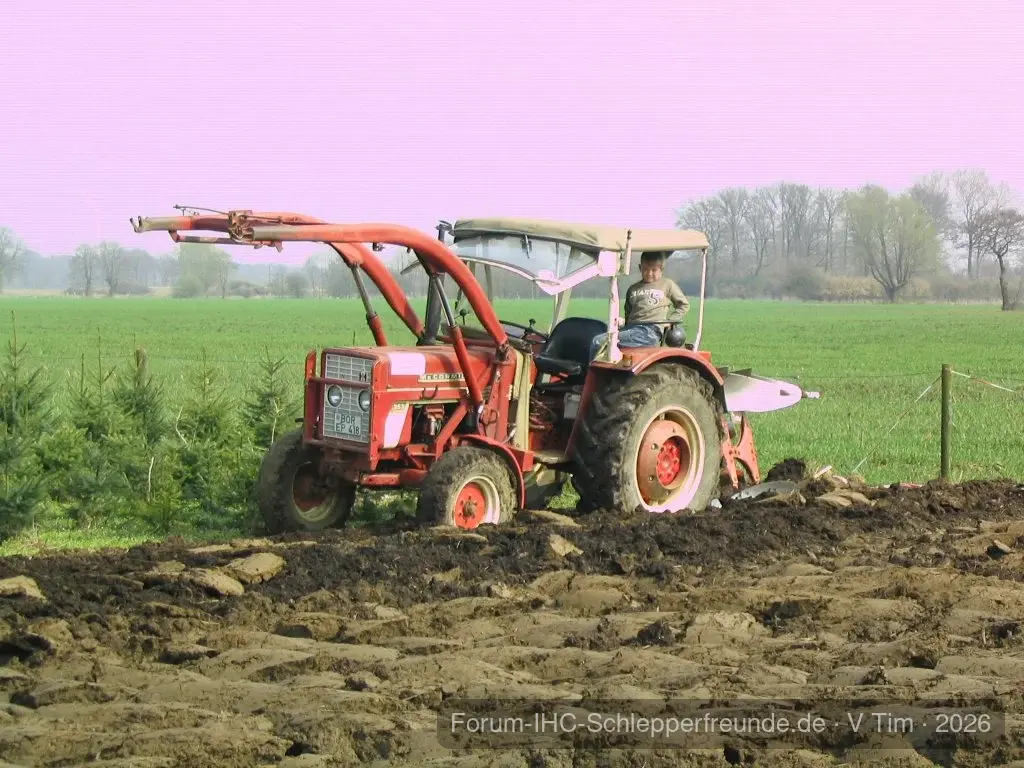 Tim Bollwerk