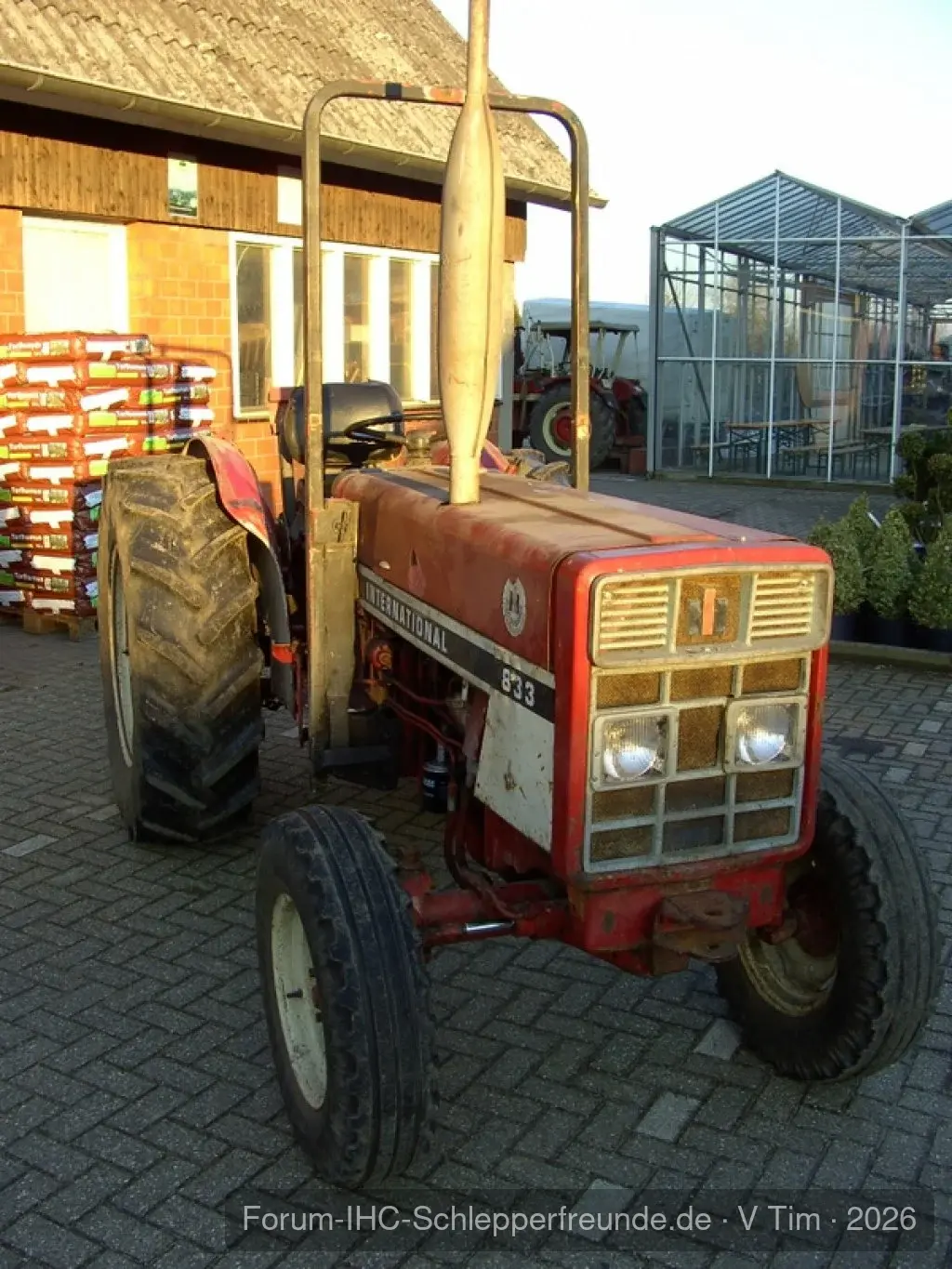 Tim Bollwerk