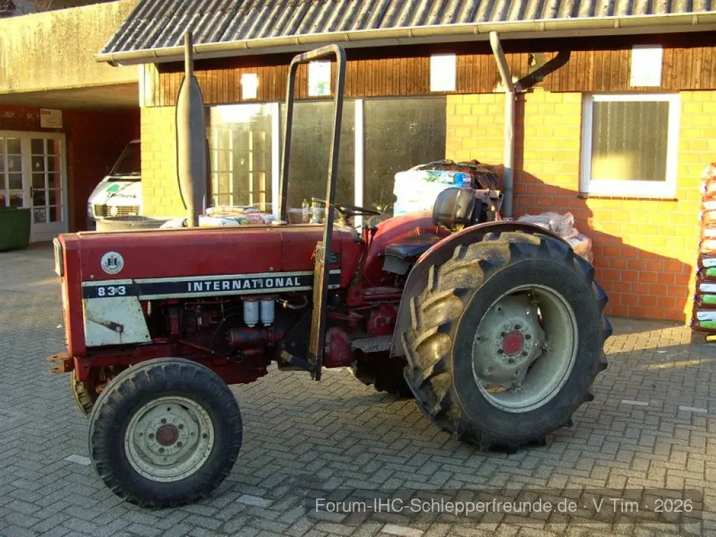 Tim Bollwerk