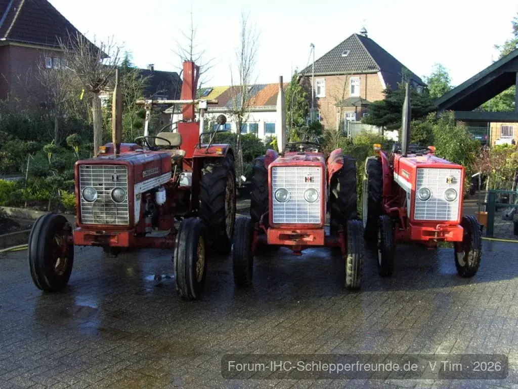 Tim Bollwerk
