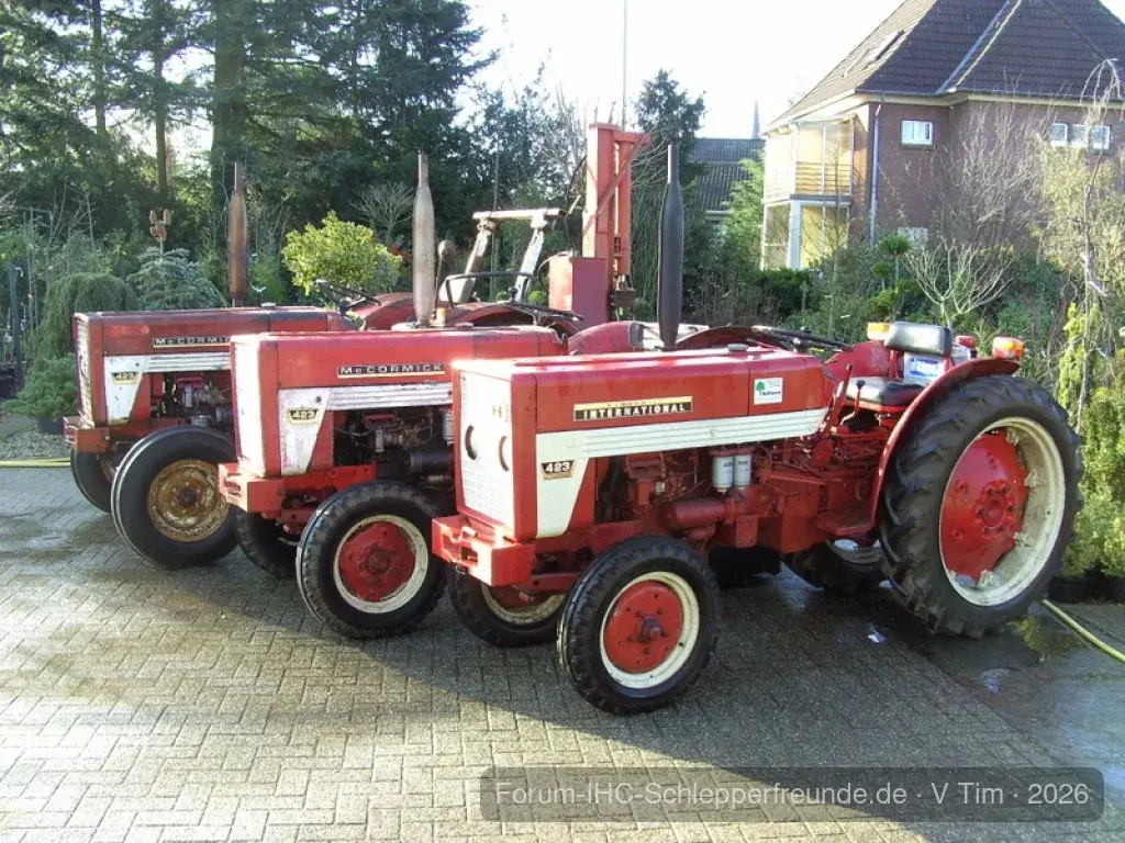 Tim Bollwerk