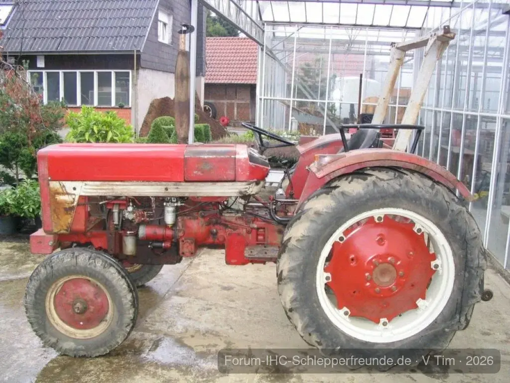 Tim Bollwerk