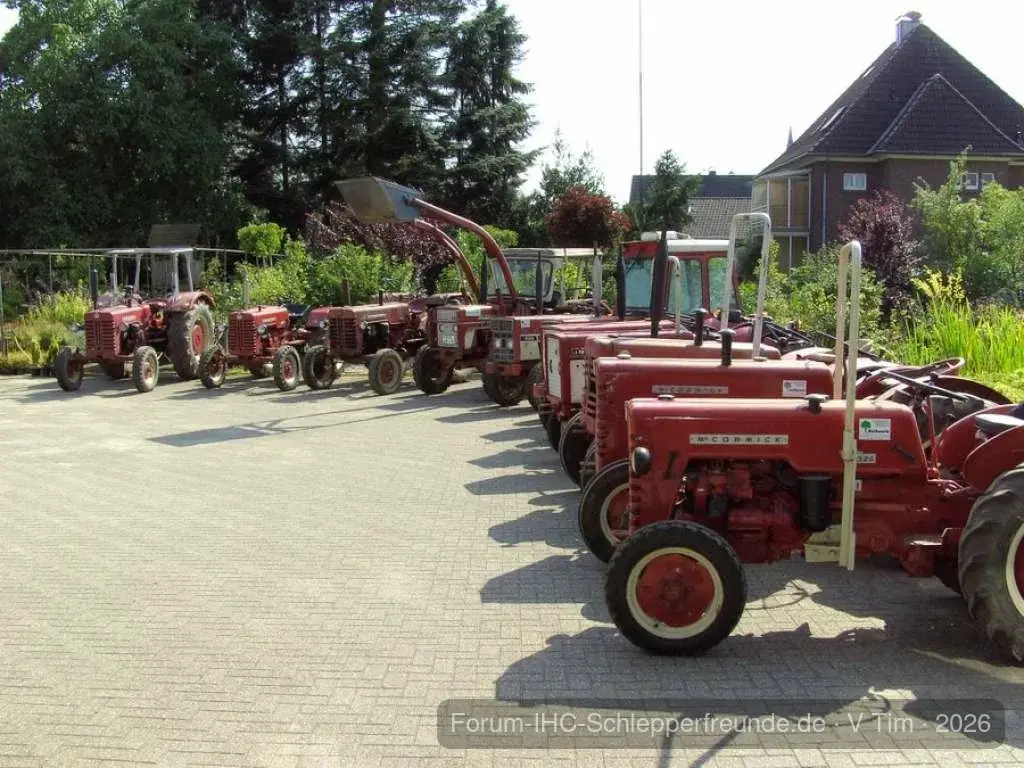 Tim Bollwerk