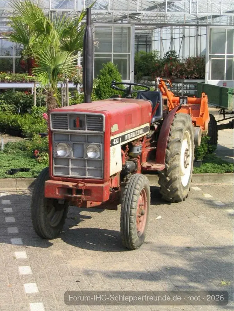 Tim Bollwerk