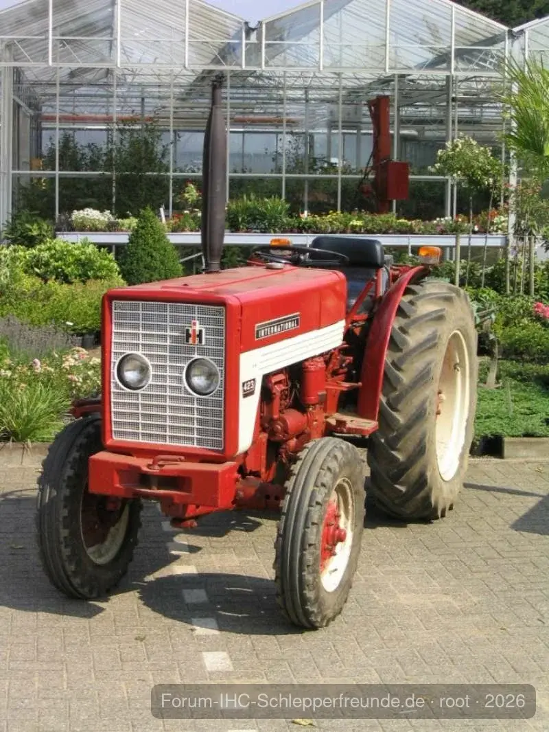 Tim Bollwerk