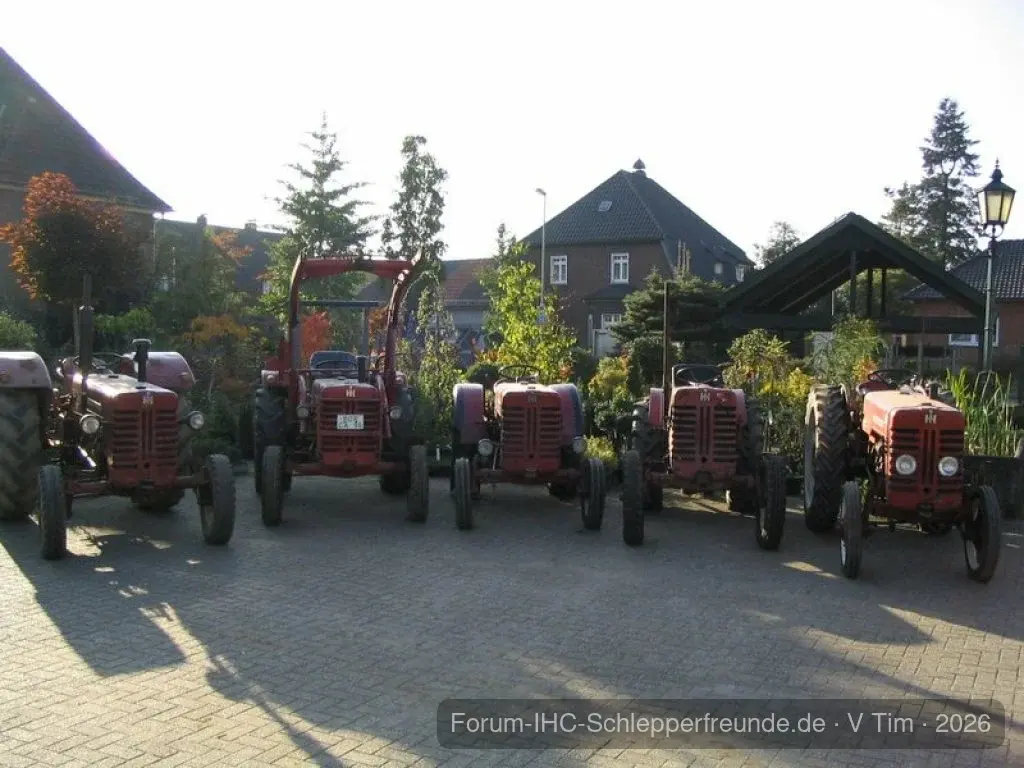 Tim Bollwerk