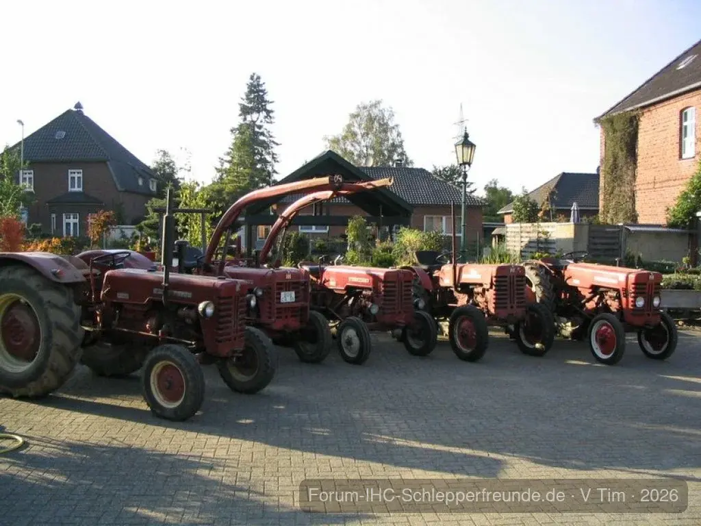 Tim Bollwerk