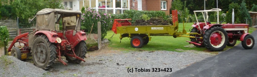 Tobias