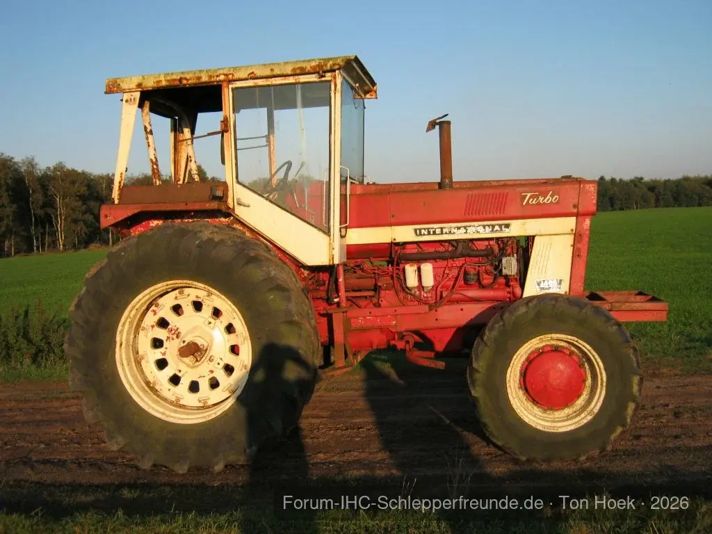 Ton Hoek