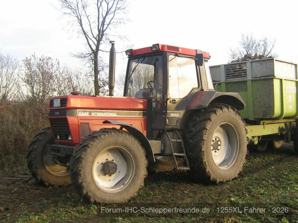 Torben