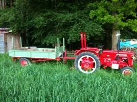 Tour in den Wald